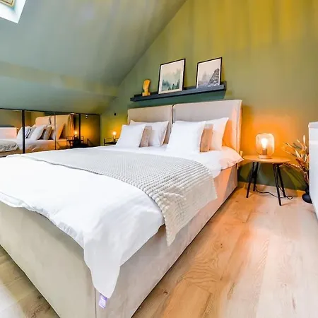 The Nest - Downtown Loft Διαμέρισμα Κλουζ-Ναπόκα