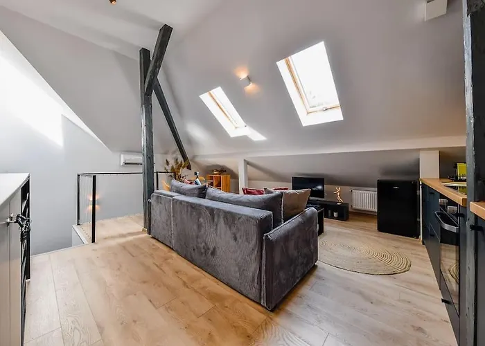 The Nest - Downtown Loft Appartement Cluj-Napoca